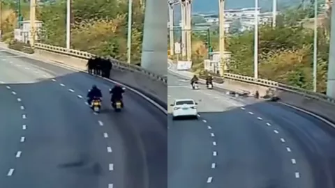 四川宜宾金沙江桥车祸