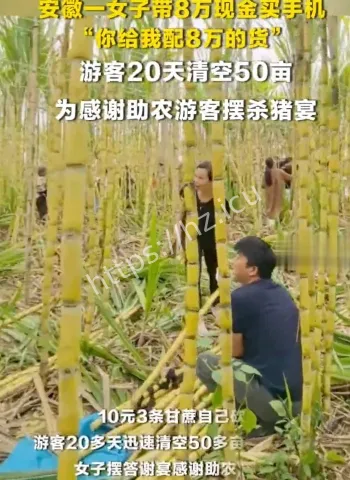 广州甘蔗滞销50亩